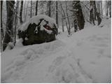 Kranjski Rak - Jarški dom na Mali planini